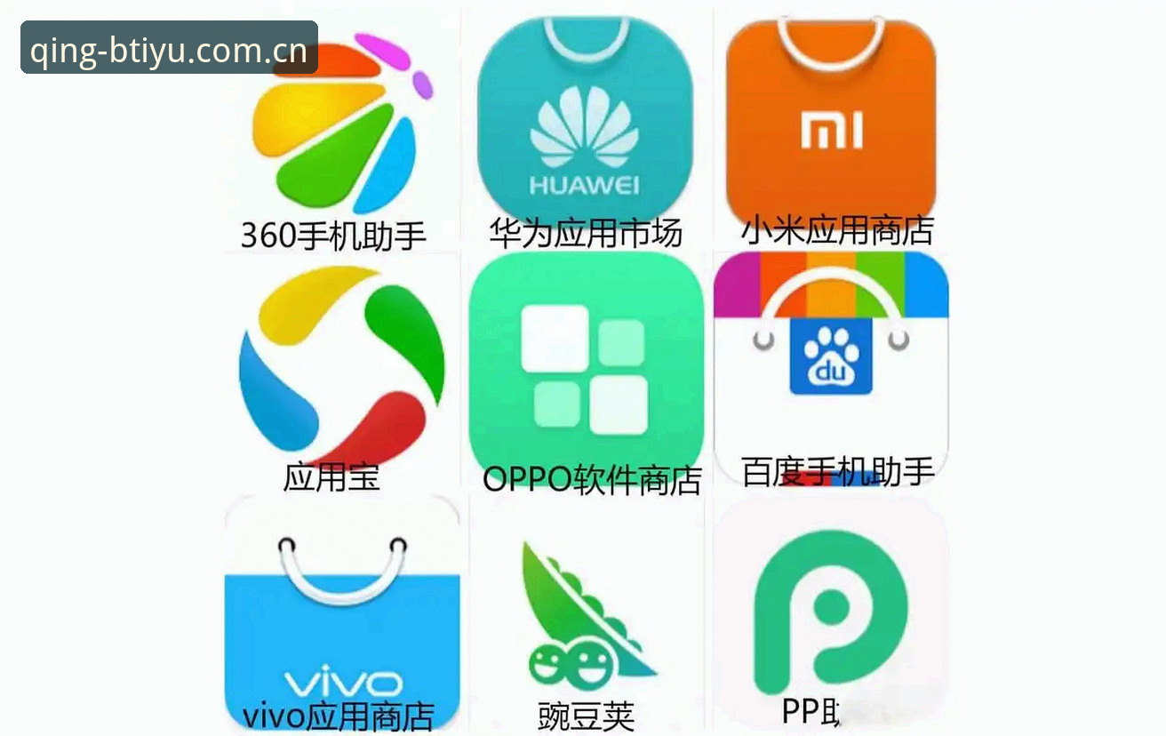手机浏览器直装 vs 应用商店下载：b体育手机端两种安装路径的实战对比